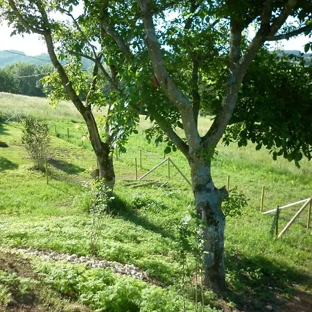 Ferienhaus Eifel-lounge-feinen Lierfeld